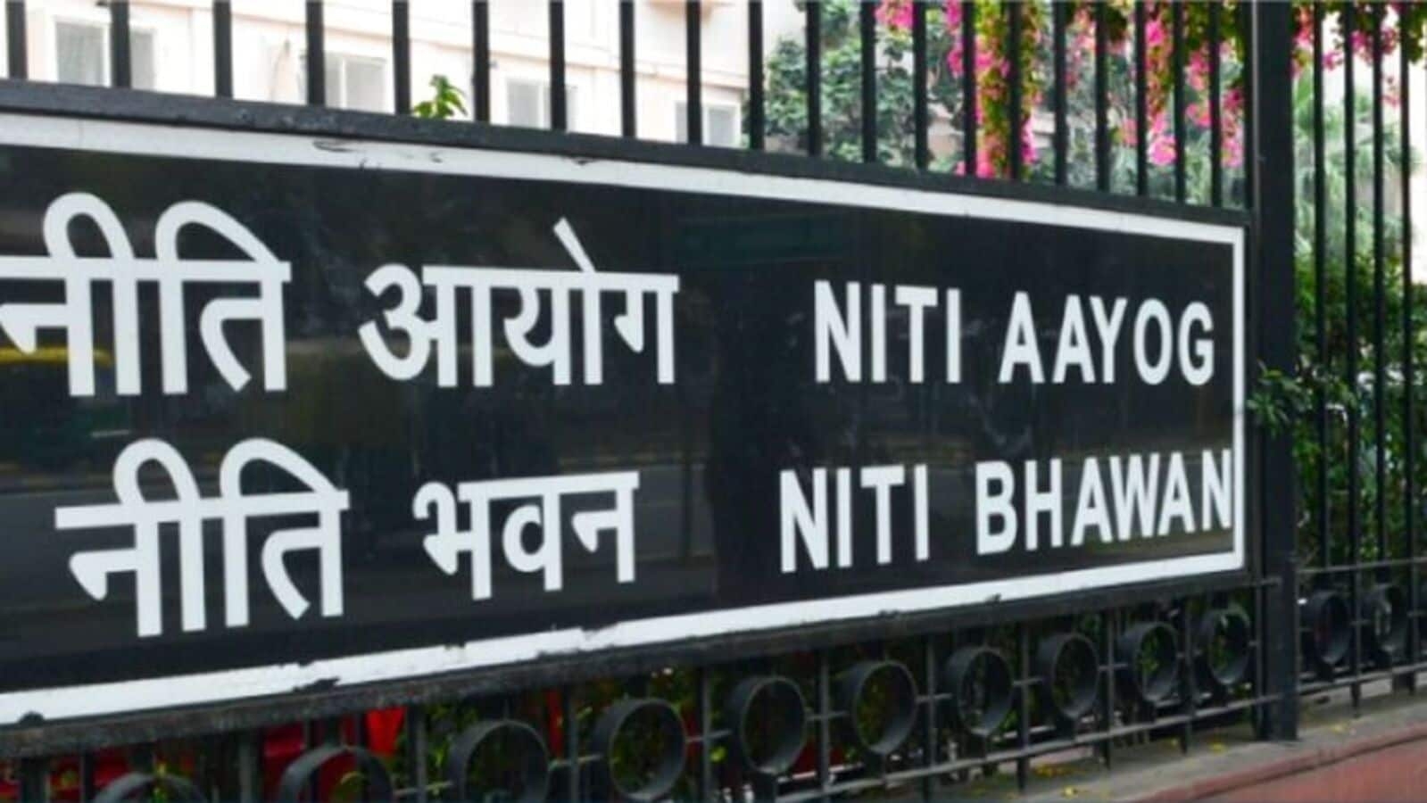 Pragmatic tariff adjustments with US can secure India's farm exports: NITI paper
