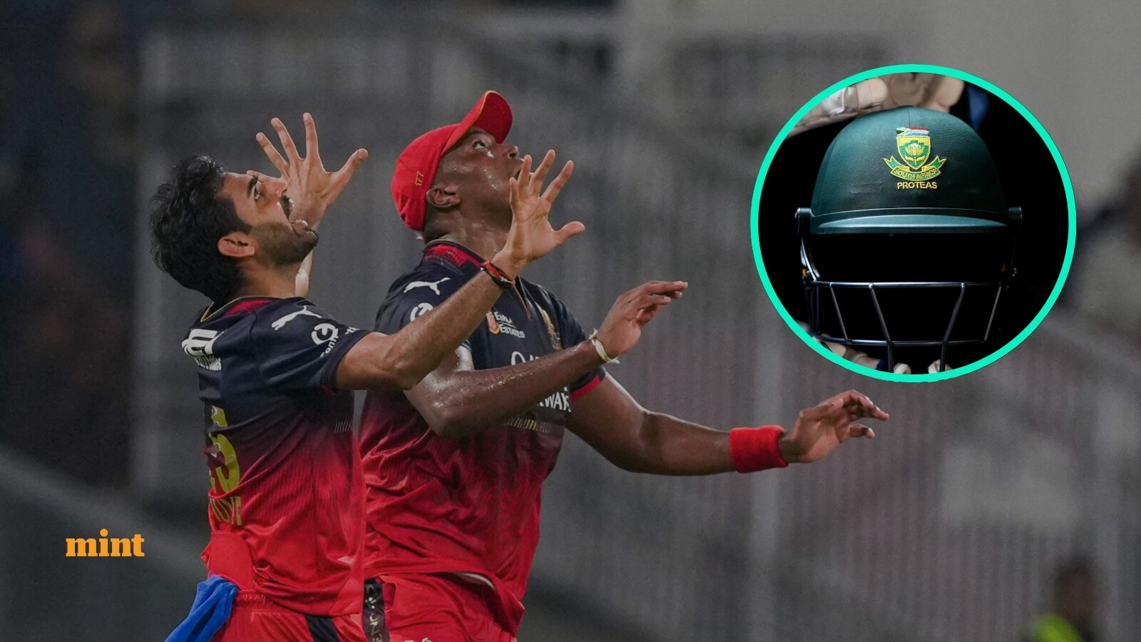 RCB, the South Africa of IPL: Why are Royal Challengers Bengaluru compared with the Proteas?