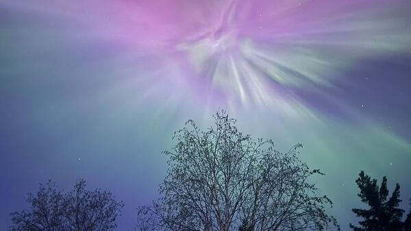 In Pics: Northern lights dazzle across the US sky in a mesmerising display