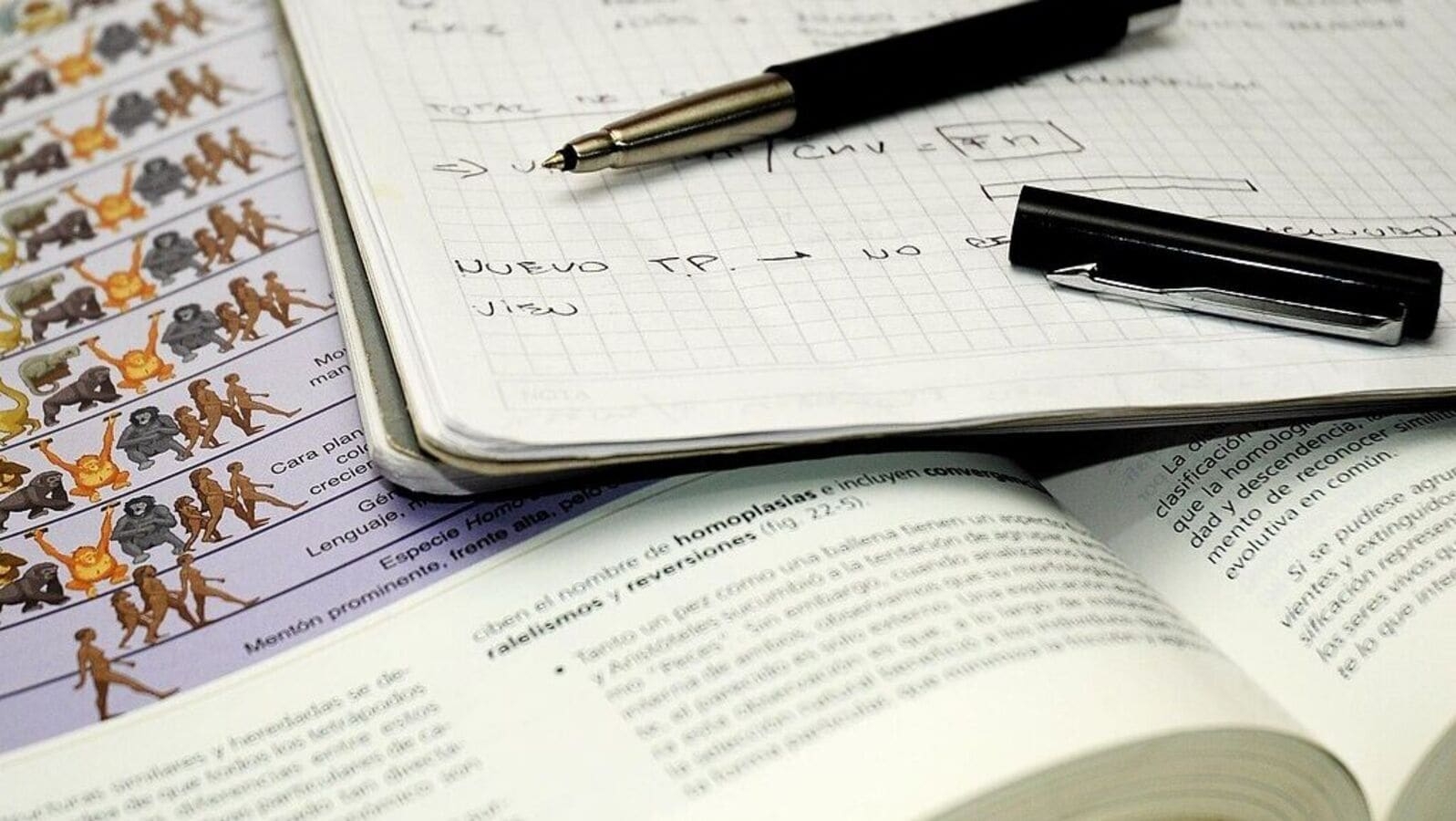 TS Inter Supplementary Result 2025: Release date, how to check scorecard on tsbie.cgg.gov.in; details here