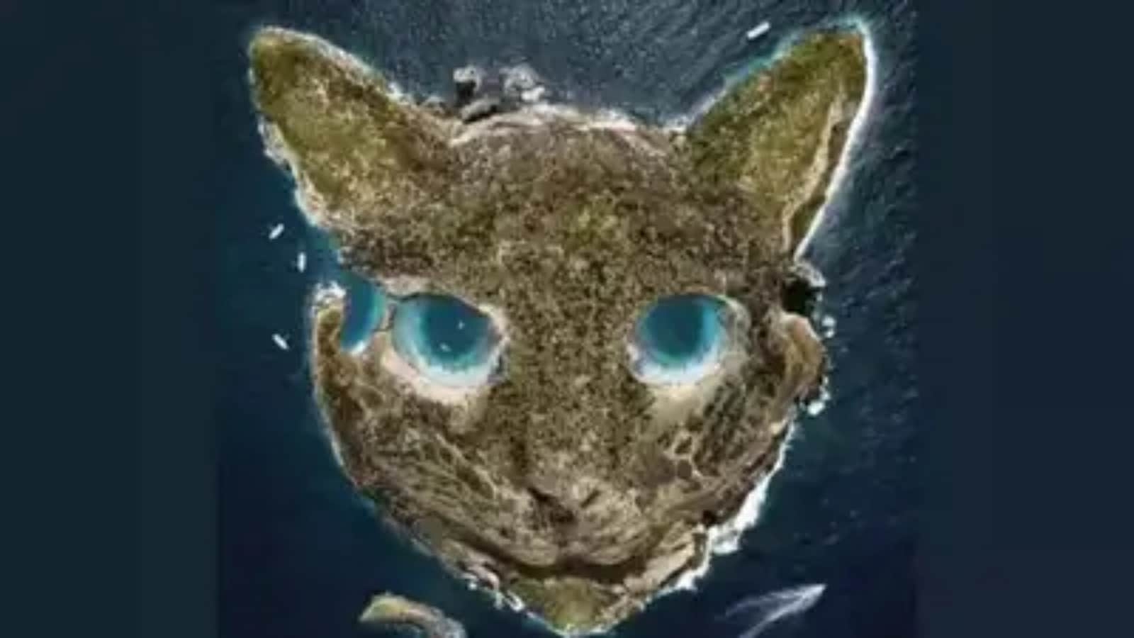 What you spot first in this optical illusion reveals how you cope under pressure
