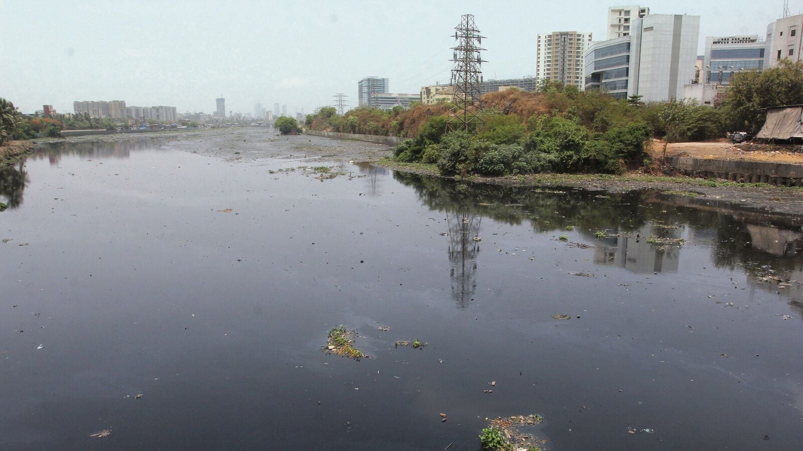 Mithi River scam: ED raids 18 premises linked to Dino Morea, others in Mumbai, Kerala; seize upto ₹1.25 crore