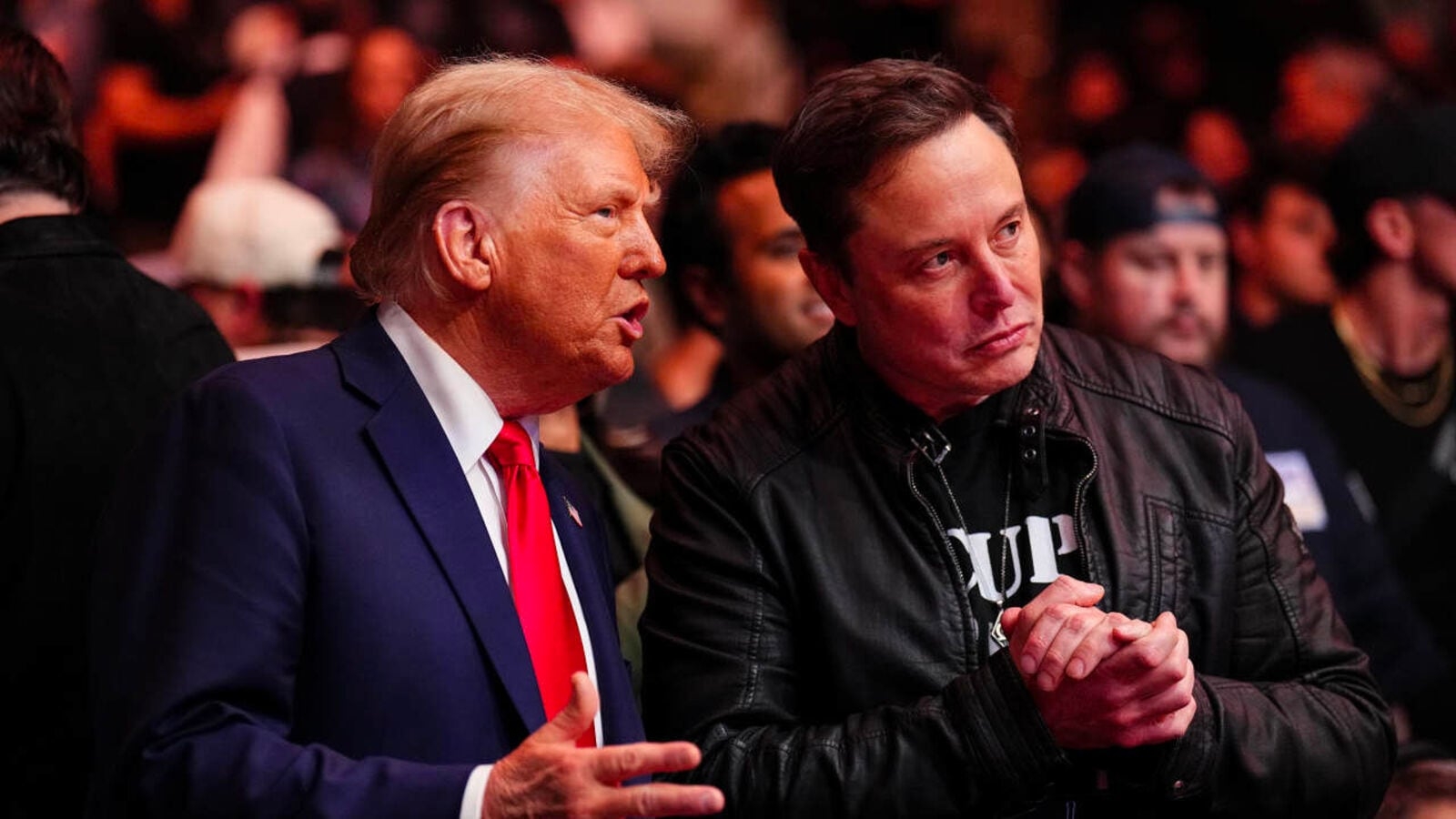 Donald Trump vs Elon Musk: Can the Tesla boss be deported? POTUS ally's demands fuels big ugly breakup