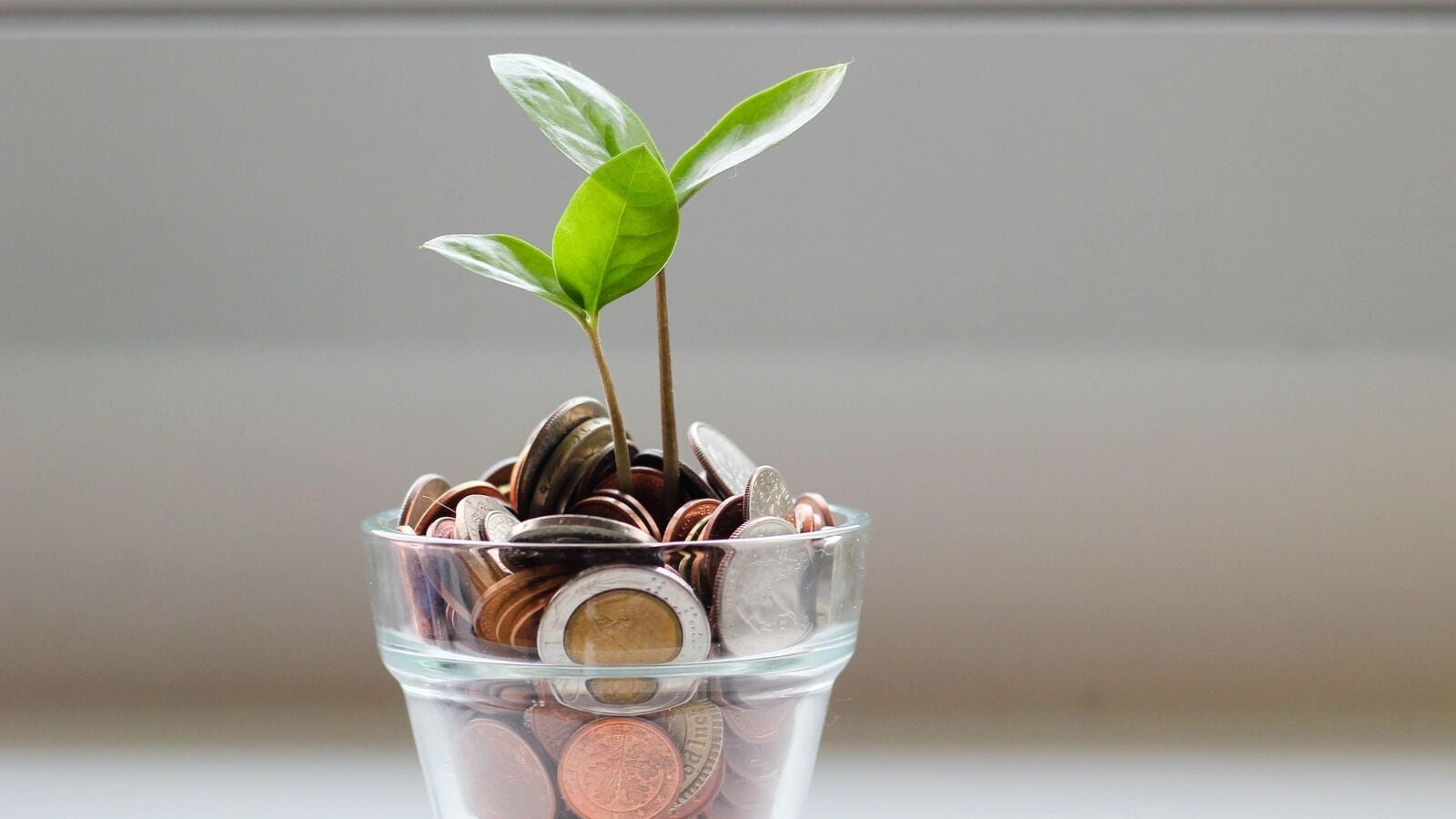 Mid-cap construction sector stock PNC Infratech share price gains 4% on  ₹240 Crore order win