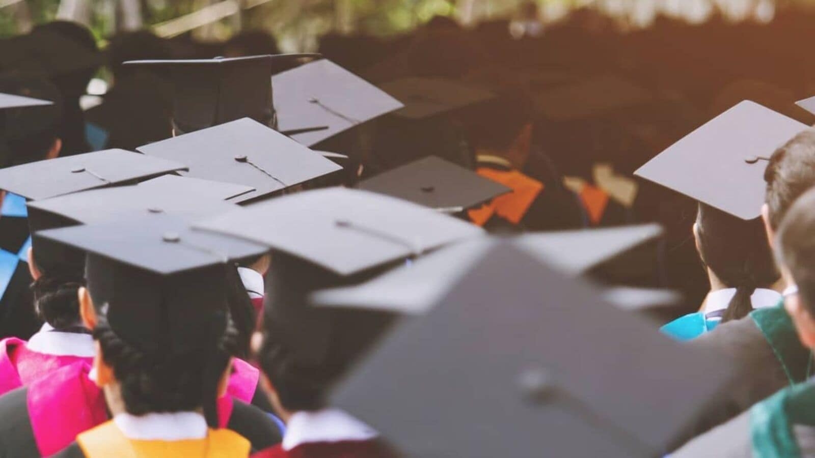 Your first job could be an ‘AI apprenticeship.' The new entry-level playbook.