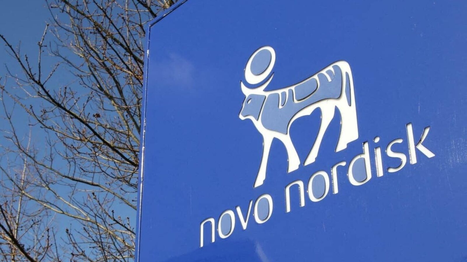 Novo Nordisk preparing to launch weight-loss drug Wegovy in India