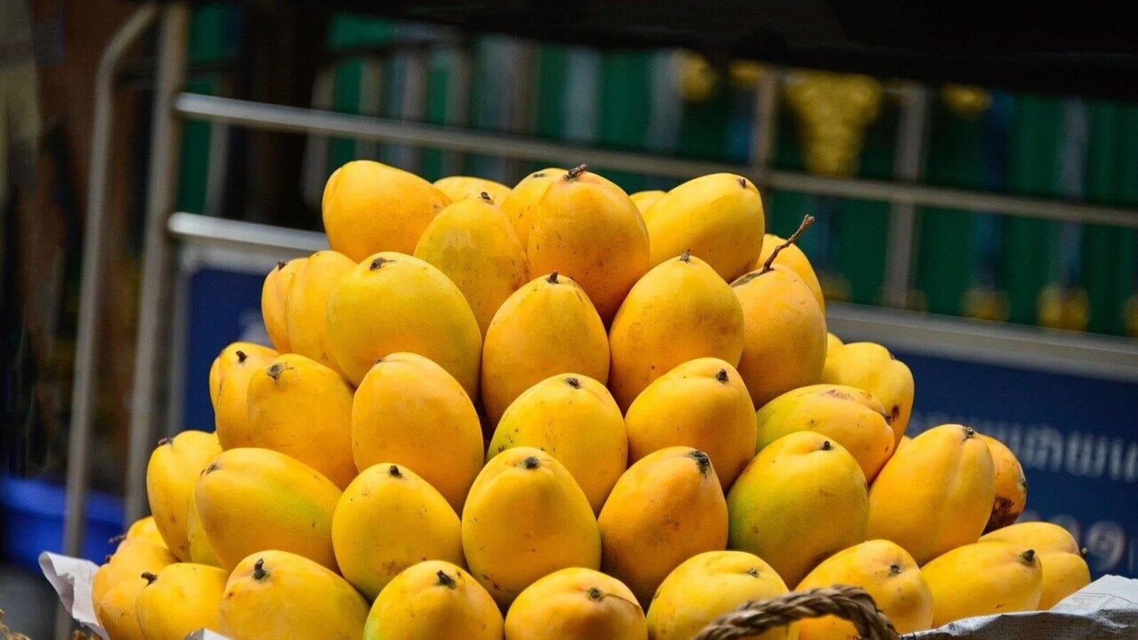 Best of the Week: From Amritsar's aam papad to mango orchards in crisis