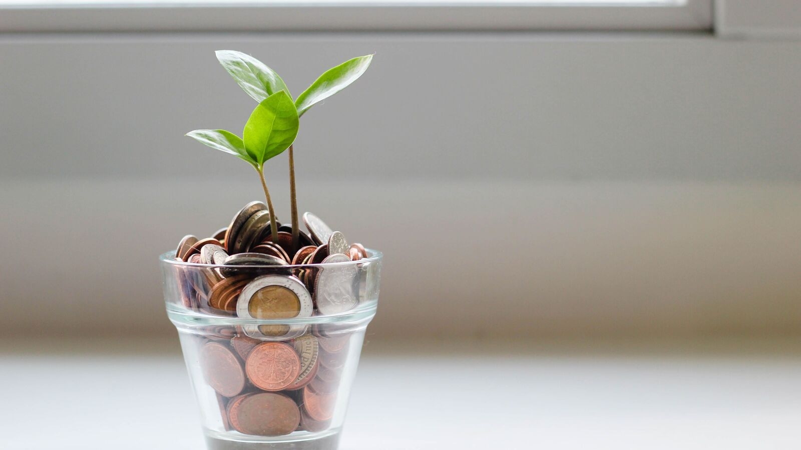 Markets with Bertie: The merits of international investing
