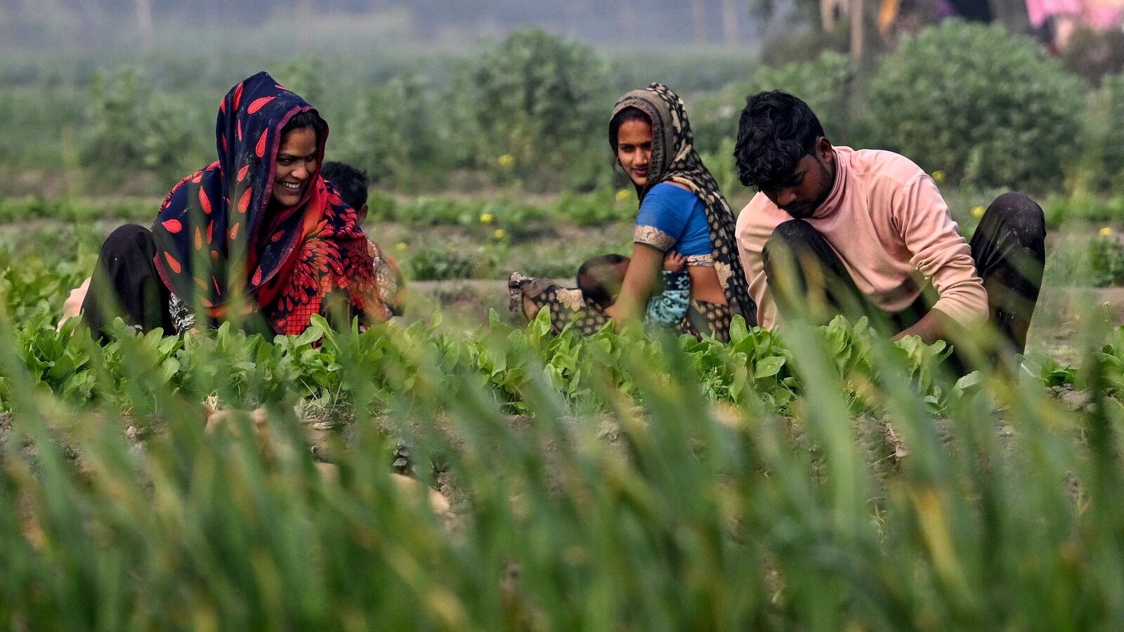 Farming has regained policy attention