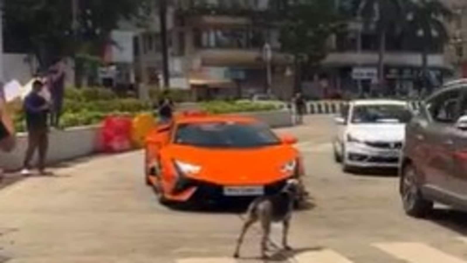 Viral video: Stray dog blocks Lamborghini in Mumbai, internet calls it the ‘real boss of the road'