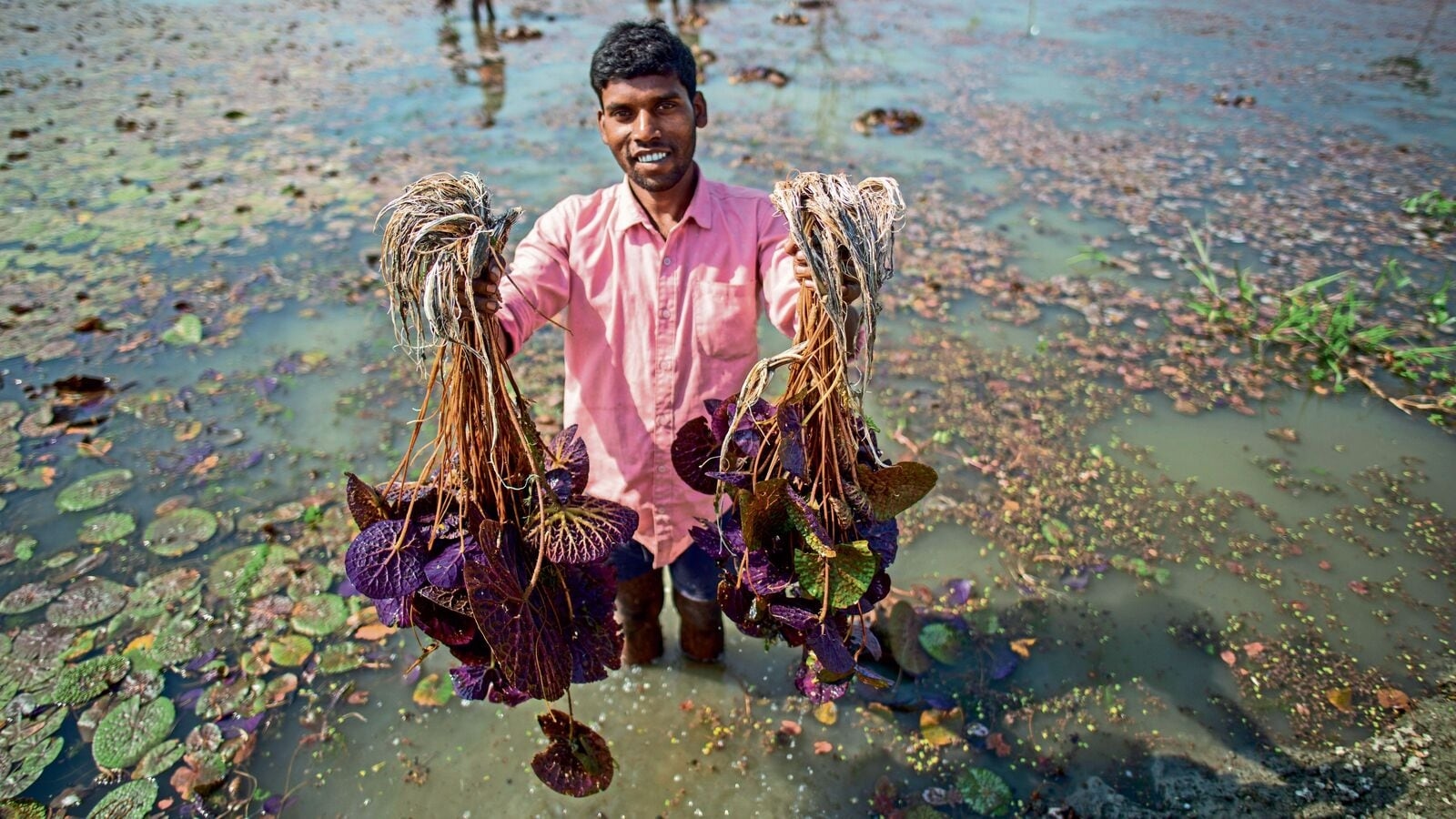 India preps new blueprint for farm export boost, engages Icrier, Crisil