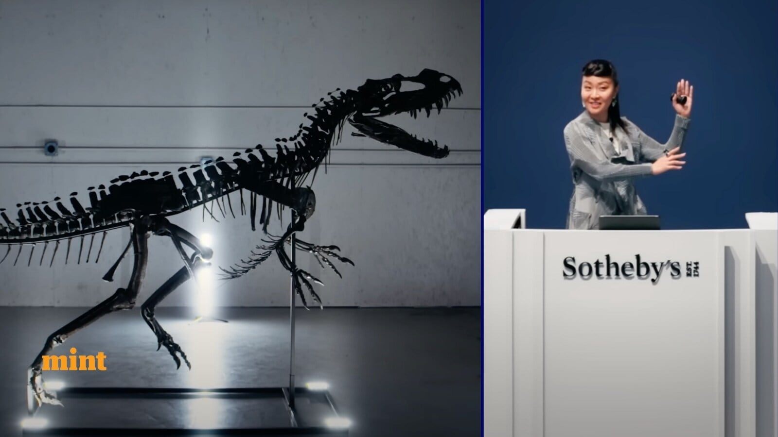 Anonymous buyer spends ₹263 crore to own 150-million-year-old dinosaur fossil; ‘Bezos or Musk?' wonders social media