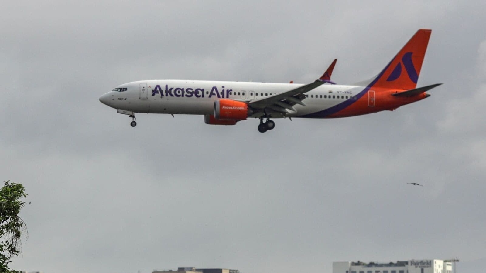 Akasa Air's financial performance in FY25 improves, says CFO Ankur Goel