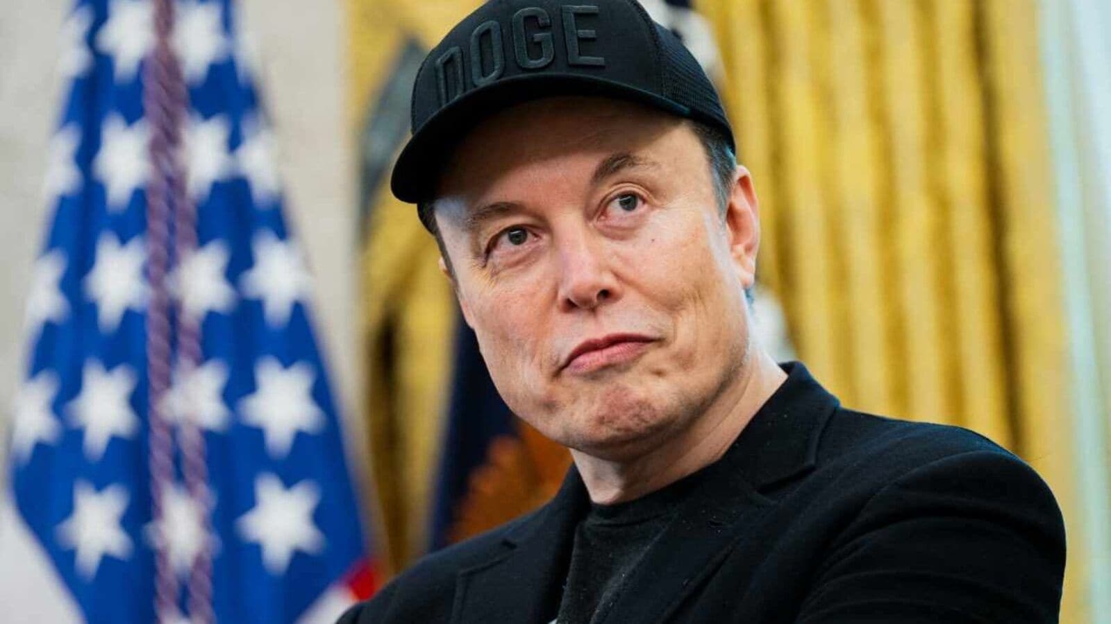 Elon Musk plans to reintroduce Vine, but here is a twist! Know what the tech mogul said…