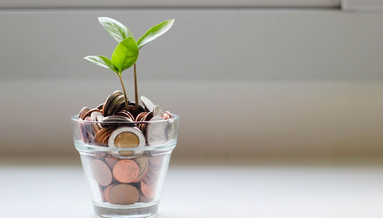 An SIP of 10K in this flexi cap mutual fund would have grown to  ₹30 lakh in 10 years. Check how