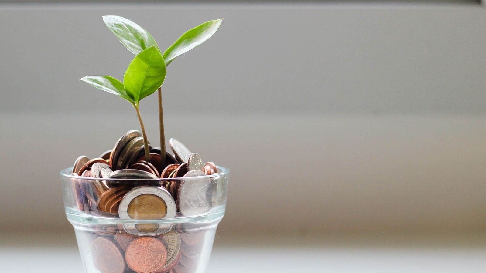 Small-cap stock under ₹50: NBFC declares board meeting to consider fundraising. Details here