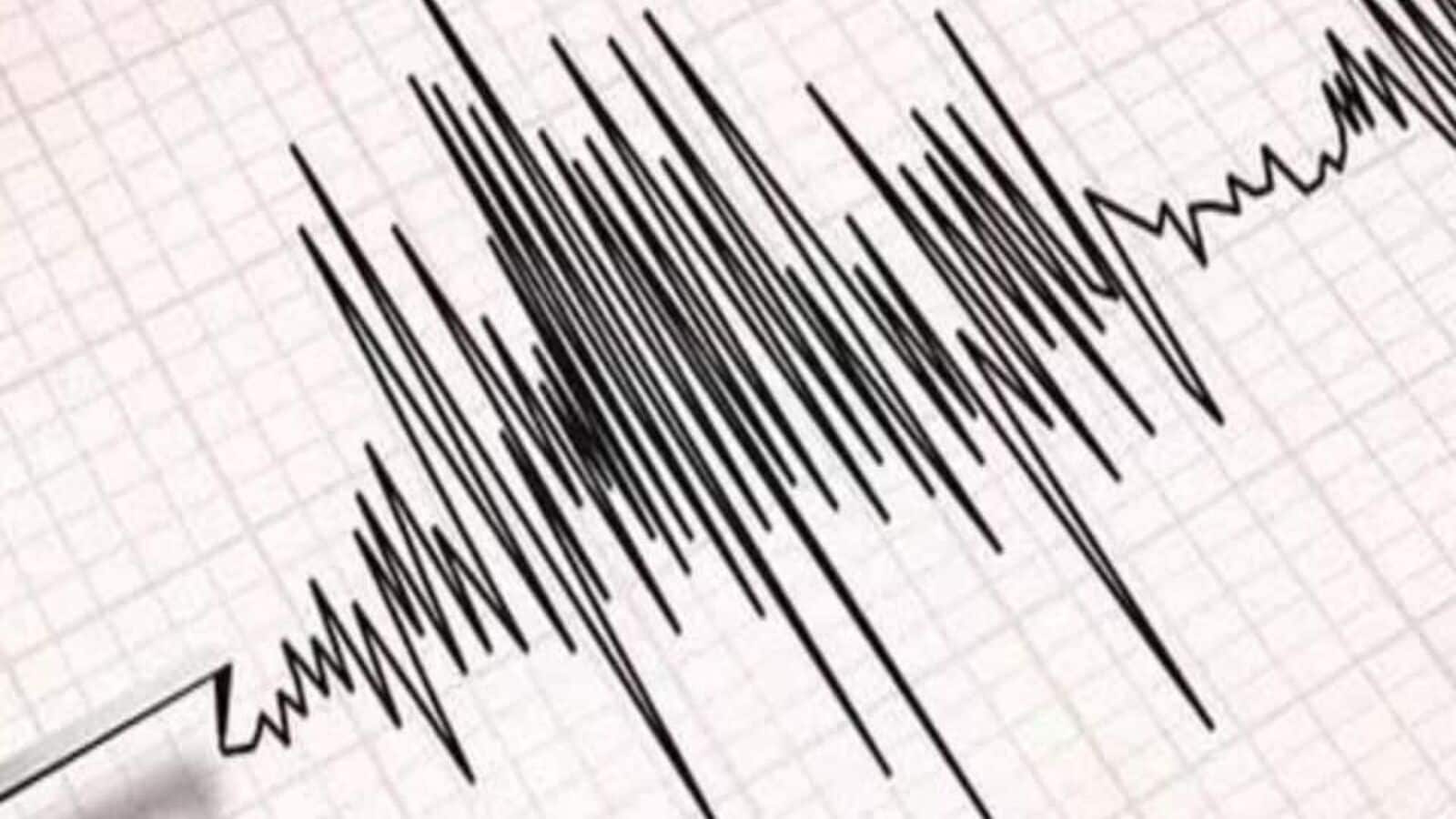 Earthquake Today: Tremors of magnitude 4.8 strikes Pakistan