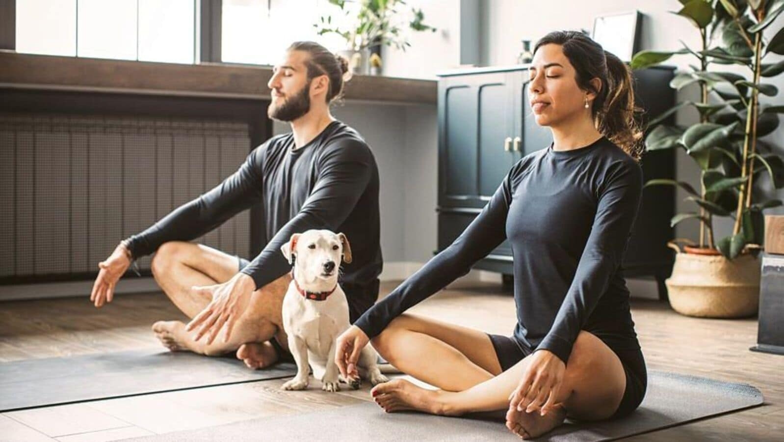 From pet yoga to yogalele, the rise of feel-good wellness experiences