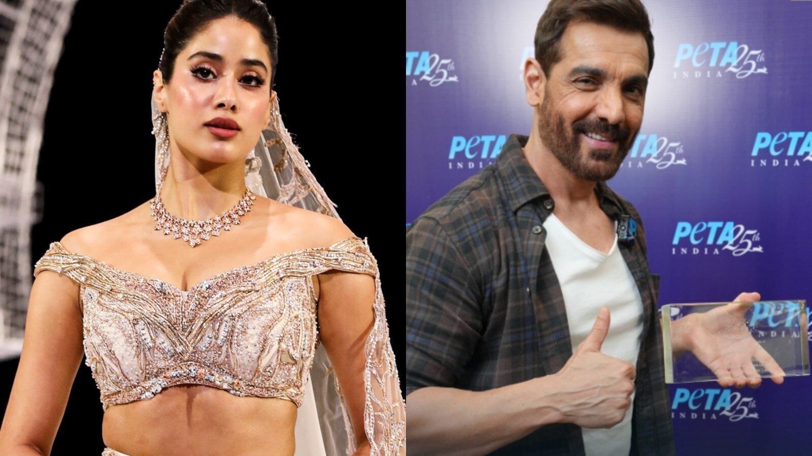 Bollywood bats for stray dogs: John Abraham, Janhvi Kapoor, Varun Dhawan and other celebs react to SC's order