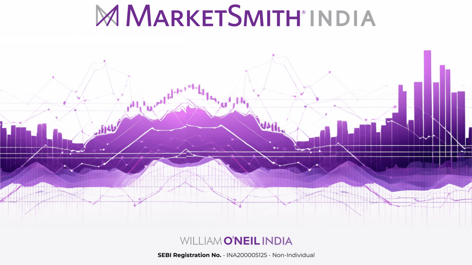 Best stock recommendations today: MarketSmith India's top picks for 13 August