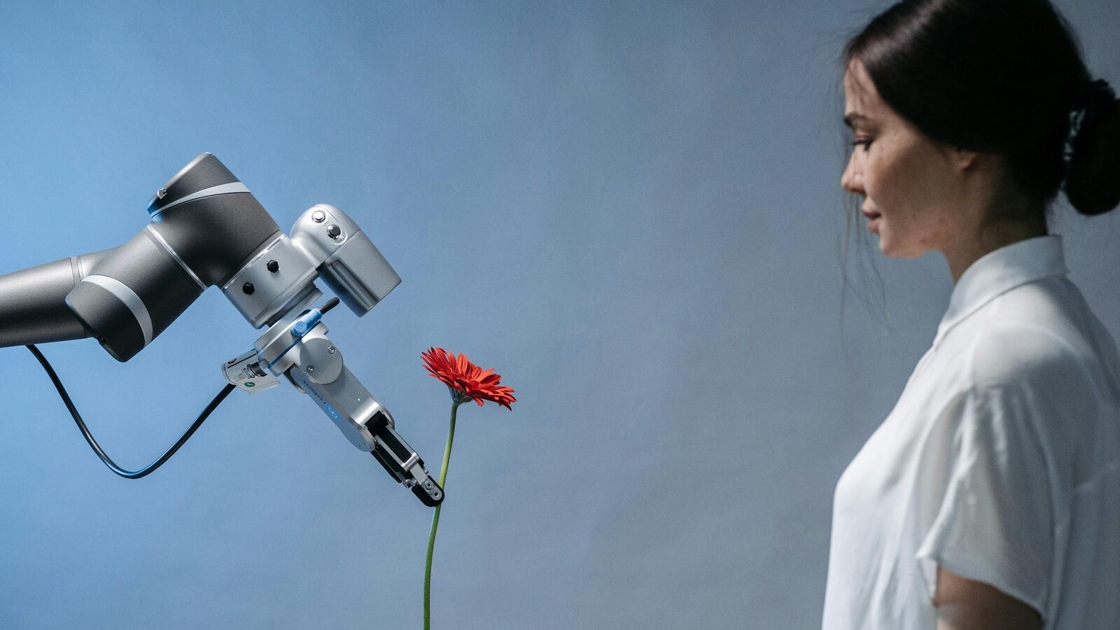 To thrive in the AI age, we must double down on what makes us human