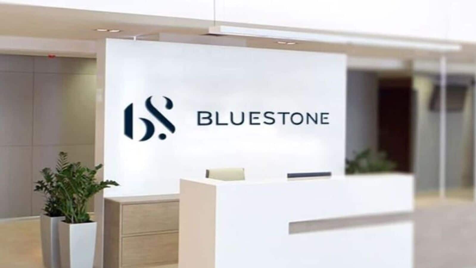 BlueStone Jewellery IPO listing today. GMP, experts signal muted debut of shares in stock market today