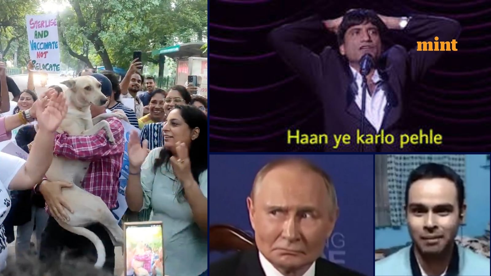 Viral video: Animal lovers dance with street dog during protest; social media reacts with memes