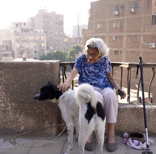 Not a hunger artist: Laila Soueif and the silence of the state