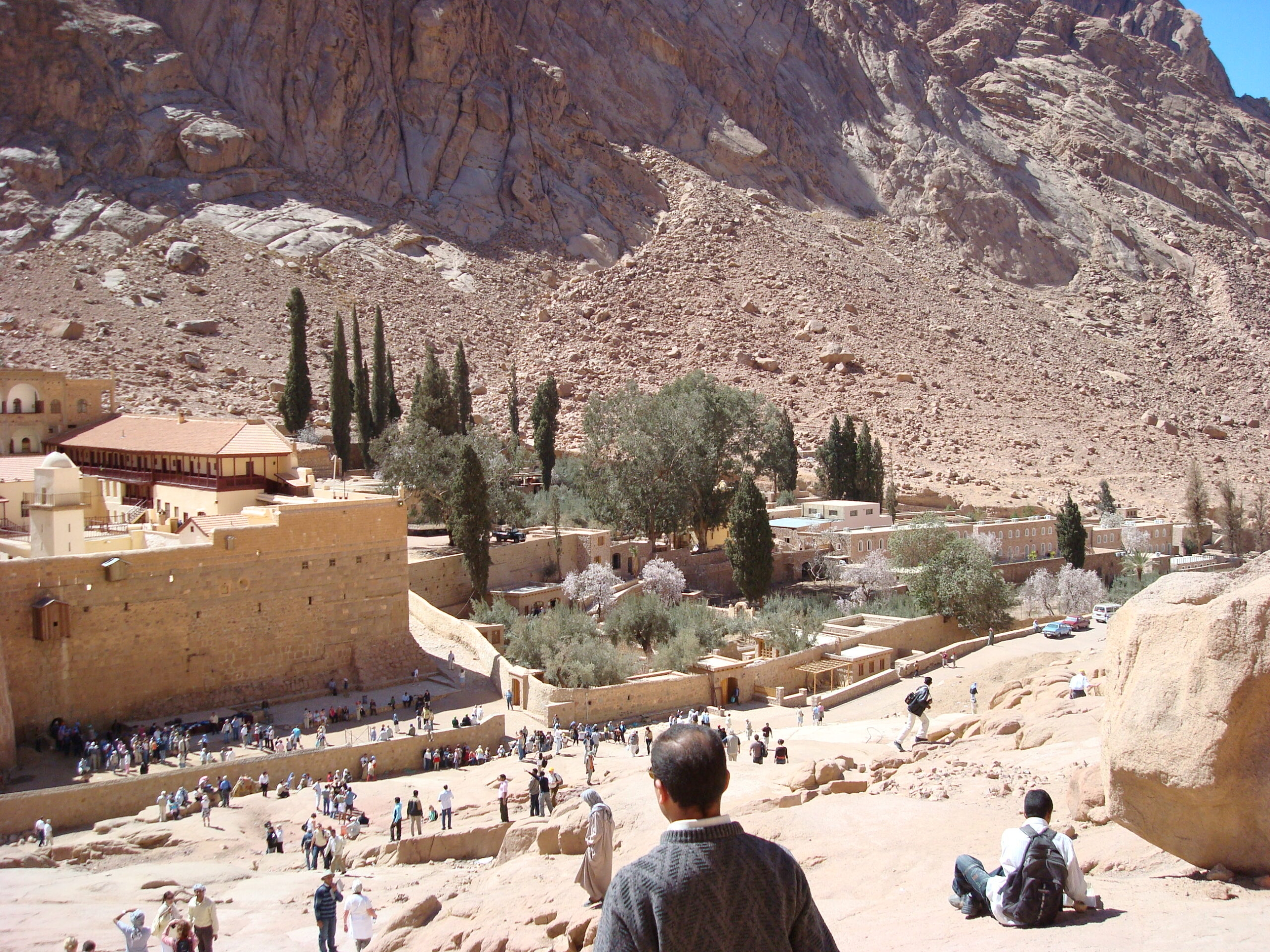 St. Catherine: Monks in the face of the state