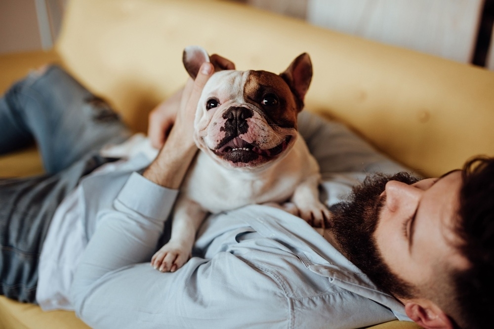 Dogs: Life partners that meet (almost) all our emotional needs, says study