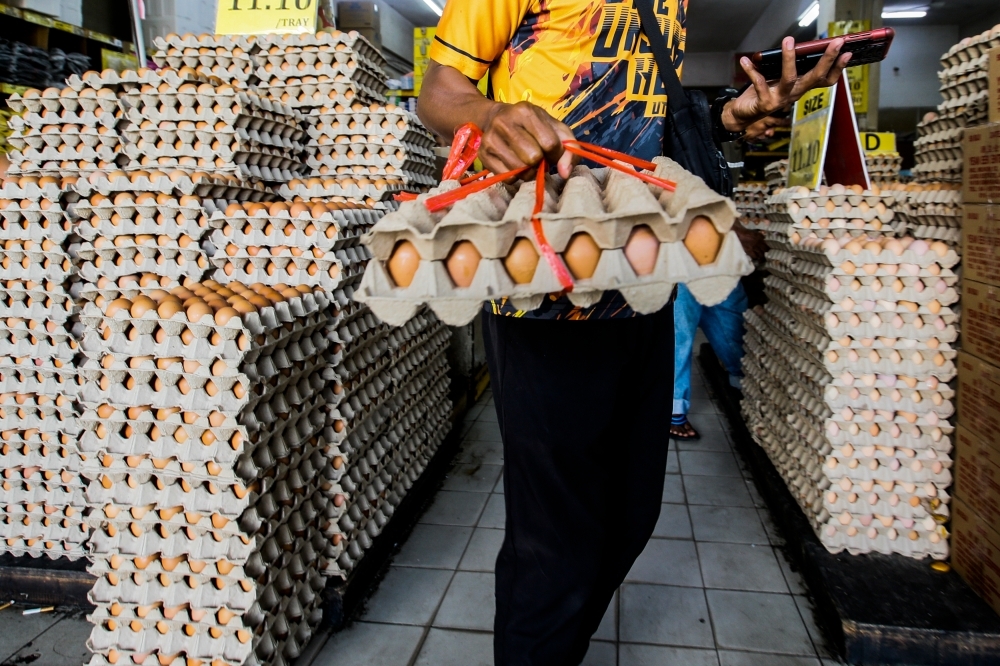 Fahmi: Cabinet backs rolling back egg subsidy as supply has normalised since Covid-19 pandemic