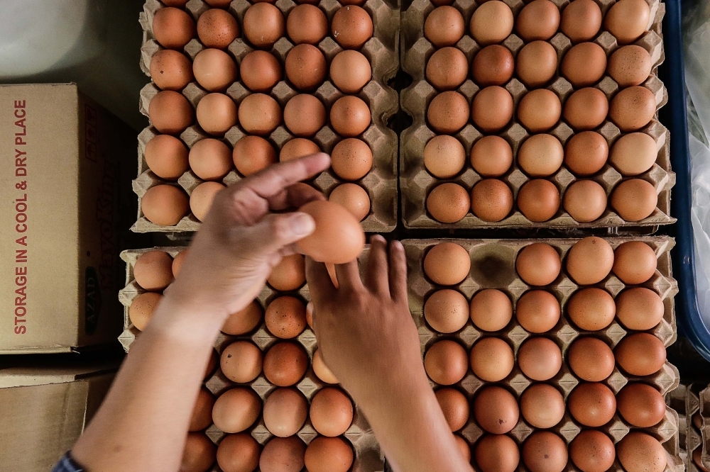 As RM3 hike looms, Bintulu's small businesses say egg subsidy removal puts pressure on food, childcare costs