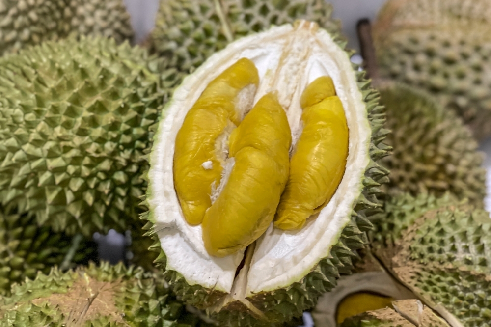 Musang King rules China as durian demand lifts Malaysian exports by up to 20pc