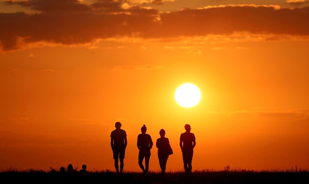 Where does consciousness live? Scientists say it may not be in our ‘smart' brain at all