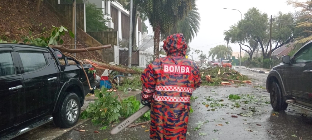 Two vehicles hit by fallen tree on Jalan Penaga, Bangsar
