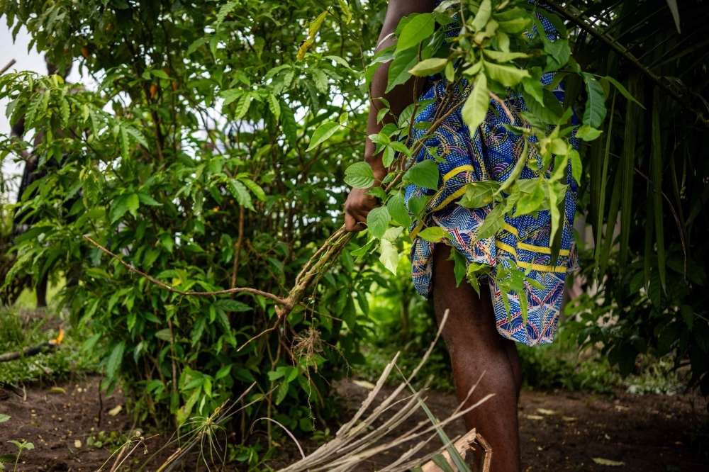 An expensive high: Gabon longs to cash in on sacred hallucinogenic remedy