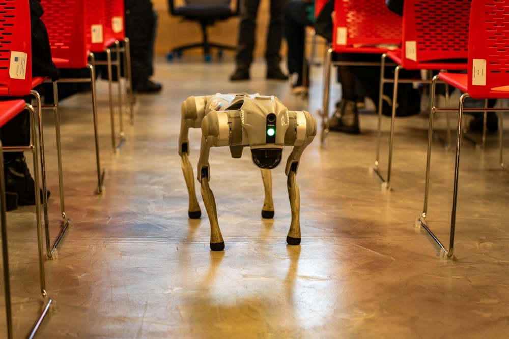 From guides to guards: Robot dogs find new roles across Singapore's public and private sectors