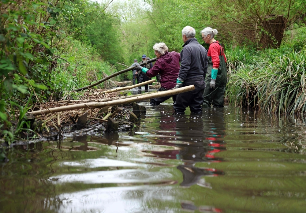 With floods on the rise, one English city is turning to beavers' wisdom and wooden barriers