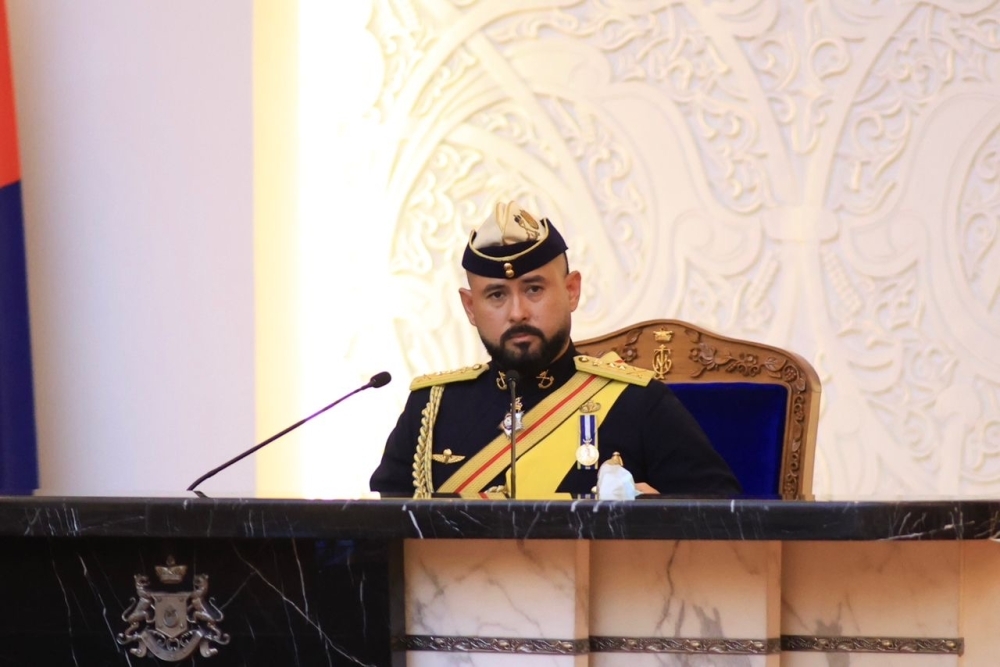 ‘Serve the people, not politics': Johor Regent tells assemblymen to stay focused and accountable