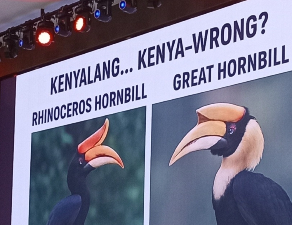 ‘Not our kenyalang': Affin Bank's hornbill blunder sparks criticism from Sarawak DAP leaders