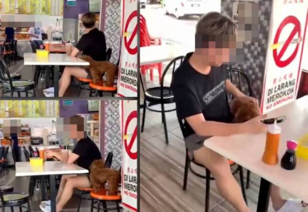 Police tracking man who took pet dog to Segamat nasi kandar restaurant, chair disposed of