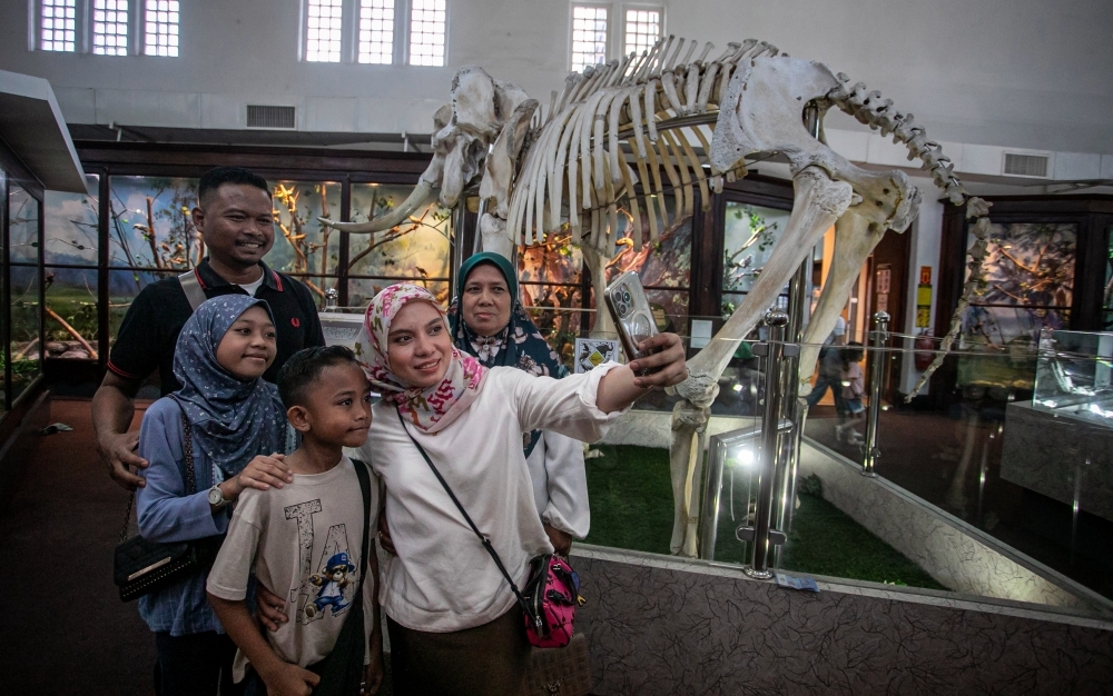 Forts, fossils and free entry: Why Malaysia's museums were the place to be this weekend