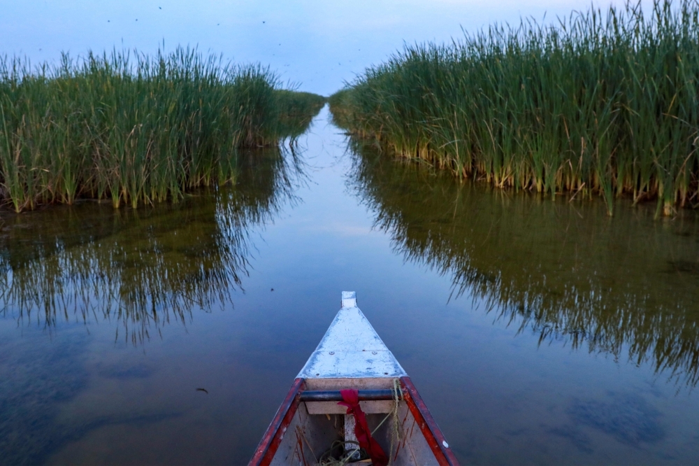 Oil vs Eden: Iraqis fight to save fabled Mesopotamian Marshes from drilling and drought
