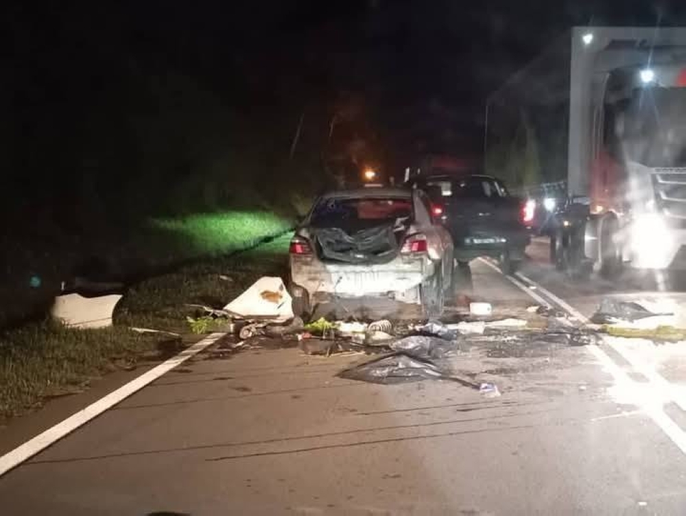 Car horns trigger wild elephant attack on East-West Highway, one vehicle damaged