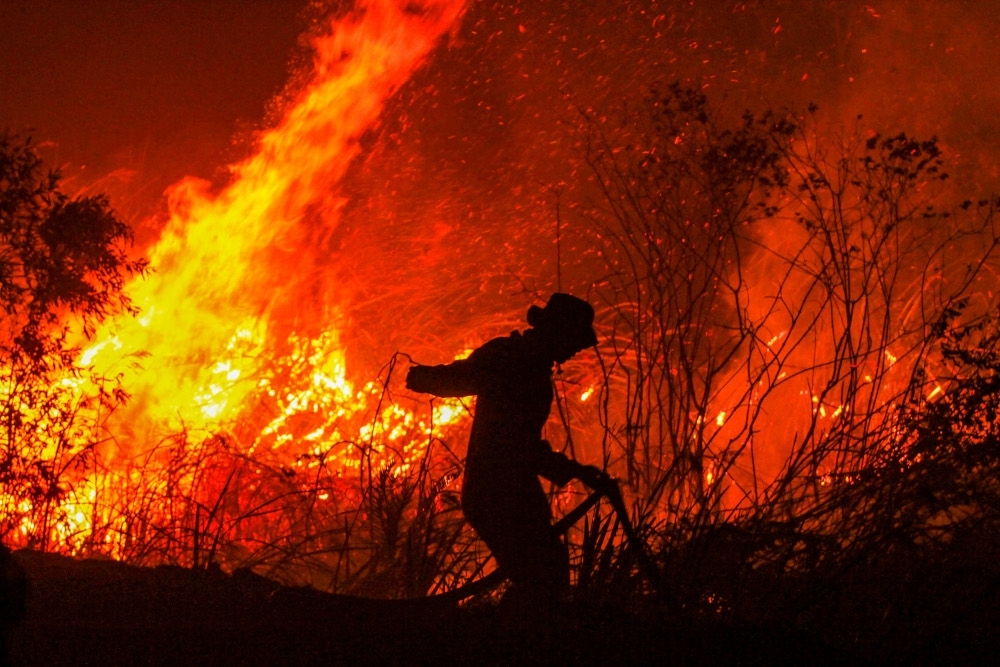 Rainforests burn at record pace, 18 football fields lost every minute, says think tank