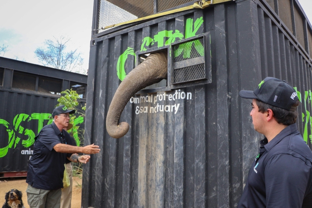 Cartel turf war forces evacuation of some 700 exotic animals in Mexico's ‘Noah's Ark' rescue