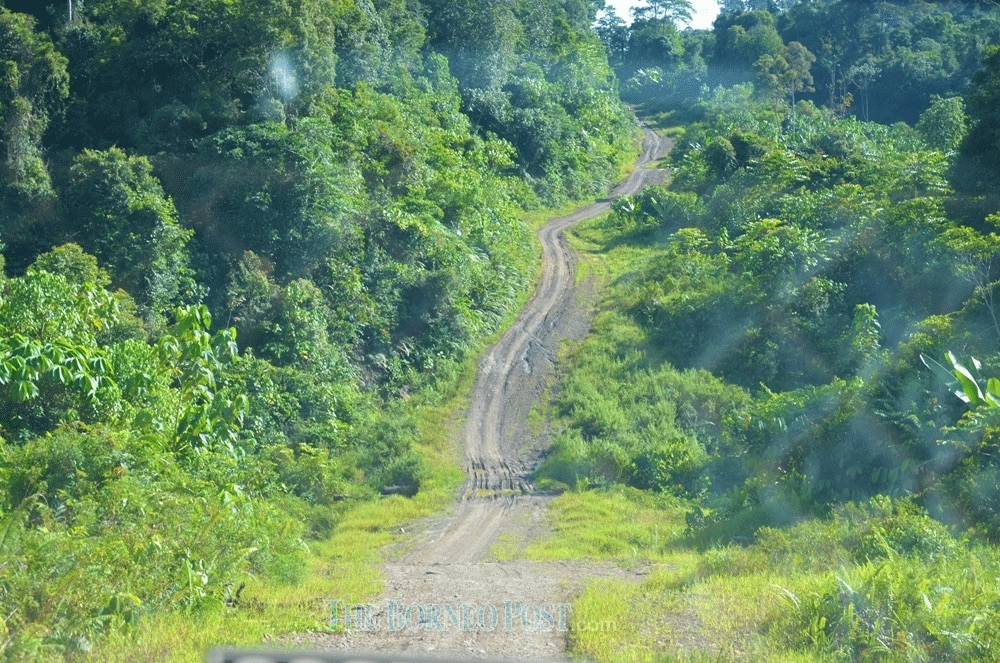 Sarawak to convert over 5,000km disused logging roads into village routes to boost rural access and development