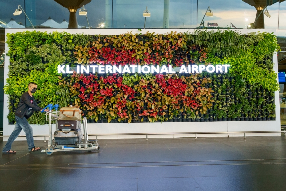 Two men caught smuggling over 300 exotic animals at KLIA, including blue iguanas and red-eared sliders