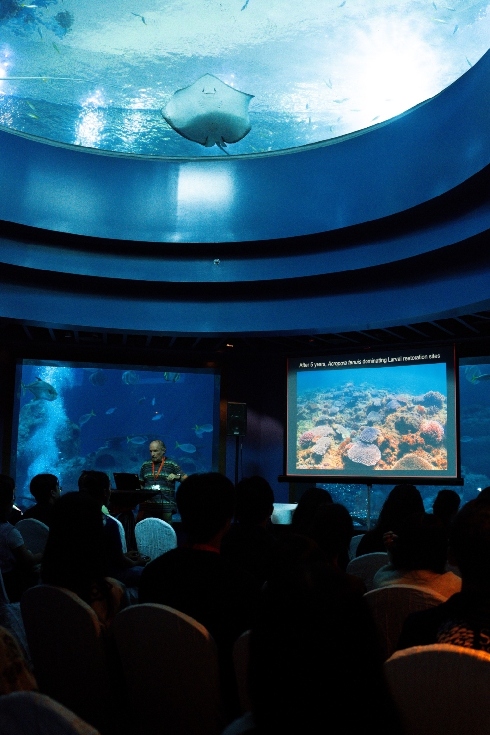 Three times bigger: Singapore Oceanarium on Sentosa to open July 23 (VIDEO)