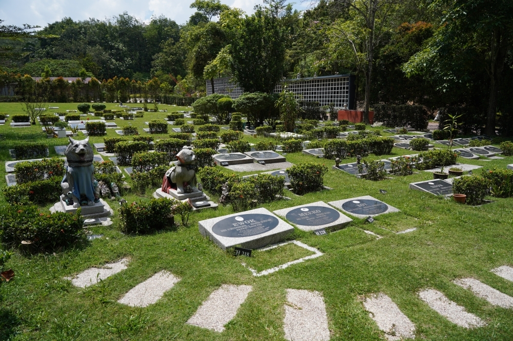 Fur-ever remembered: Demand grows for pet bereavement services in Malaysia as owners seek dignified farewells